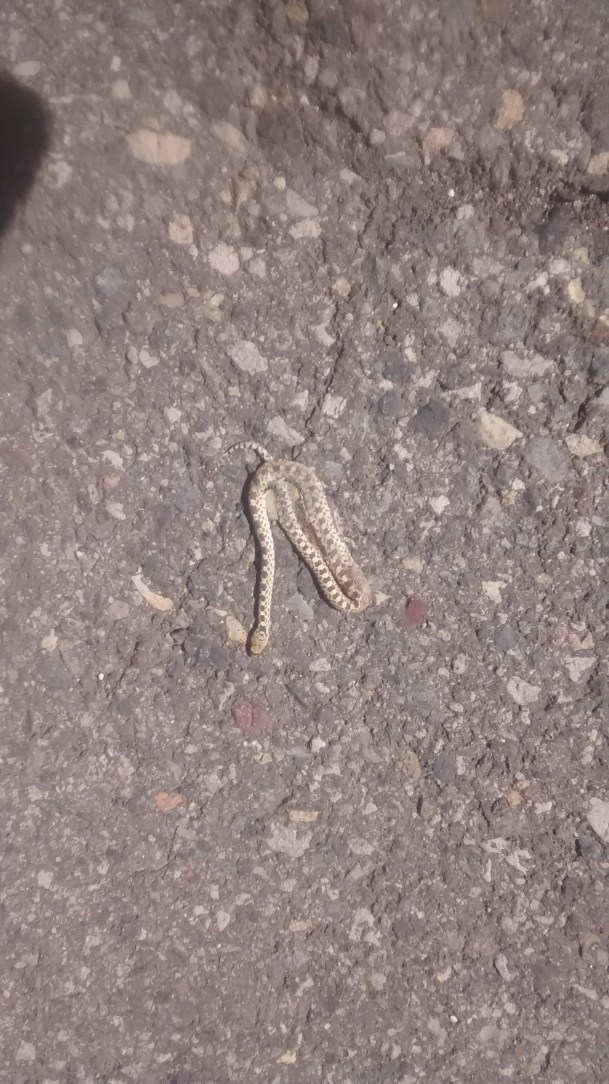 img_20160909_140206077