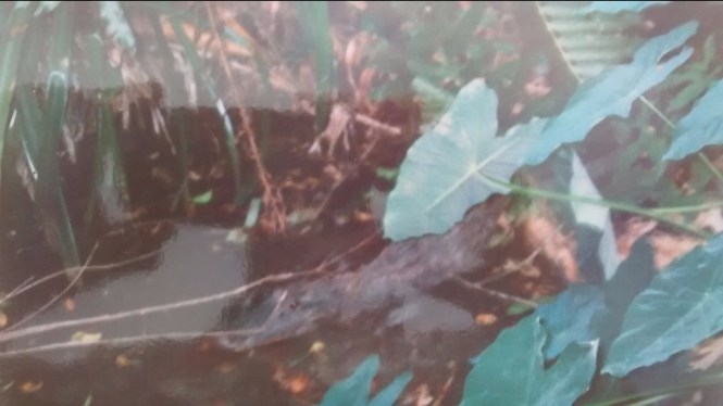 IMG_20170531_184124820