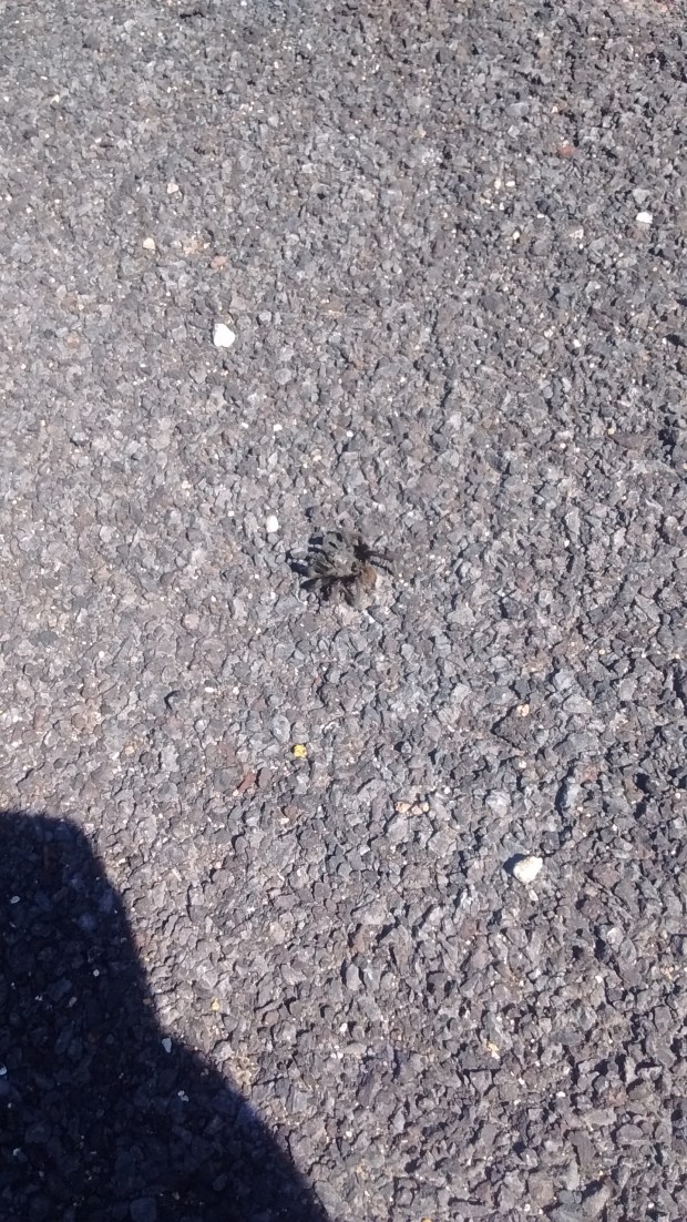 IMG_20191009_111111117