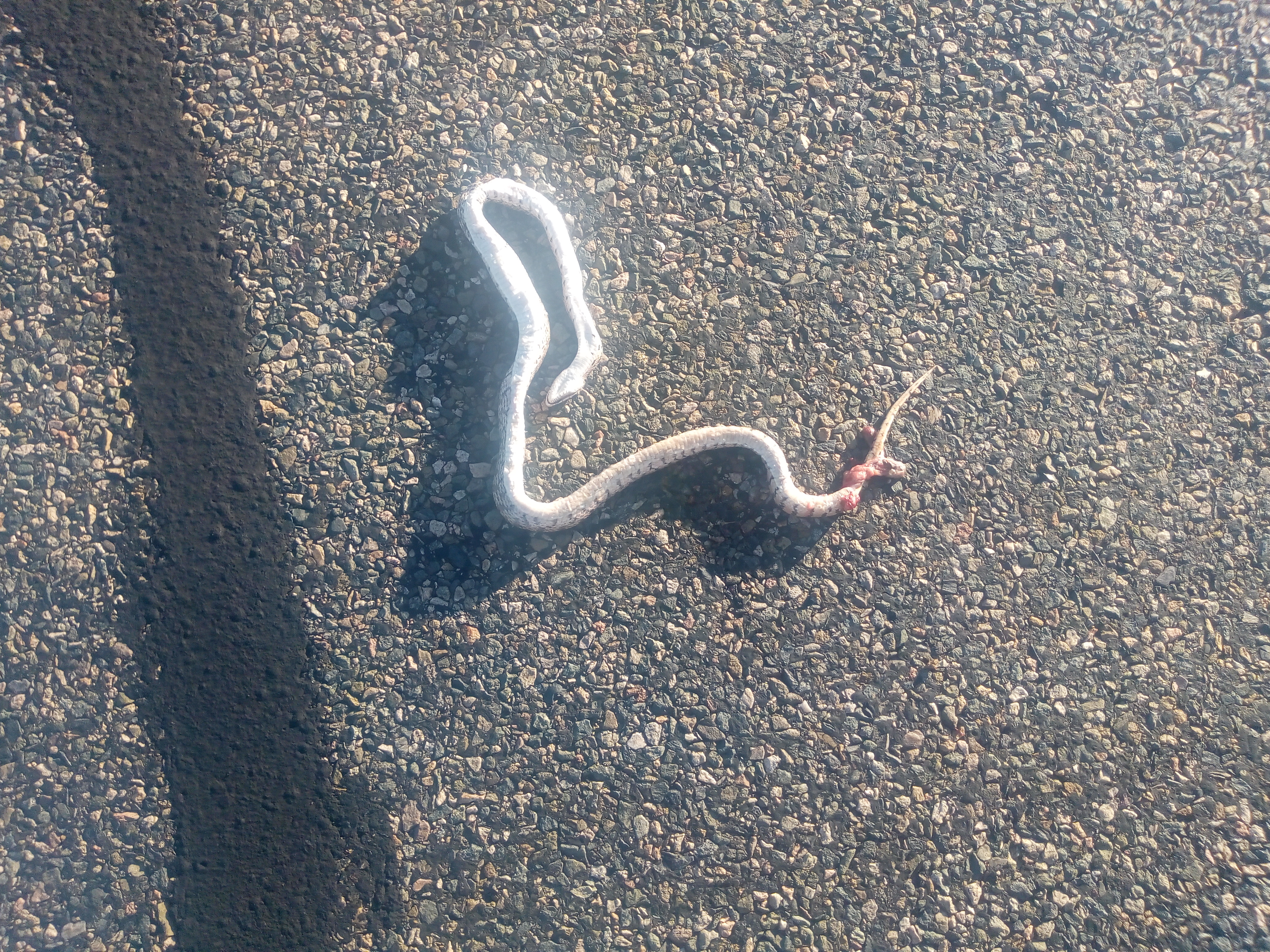 IMG_20191009_170437625