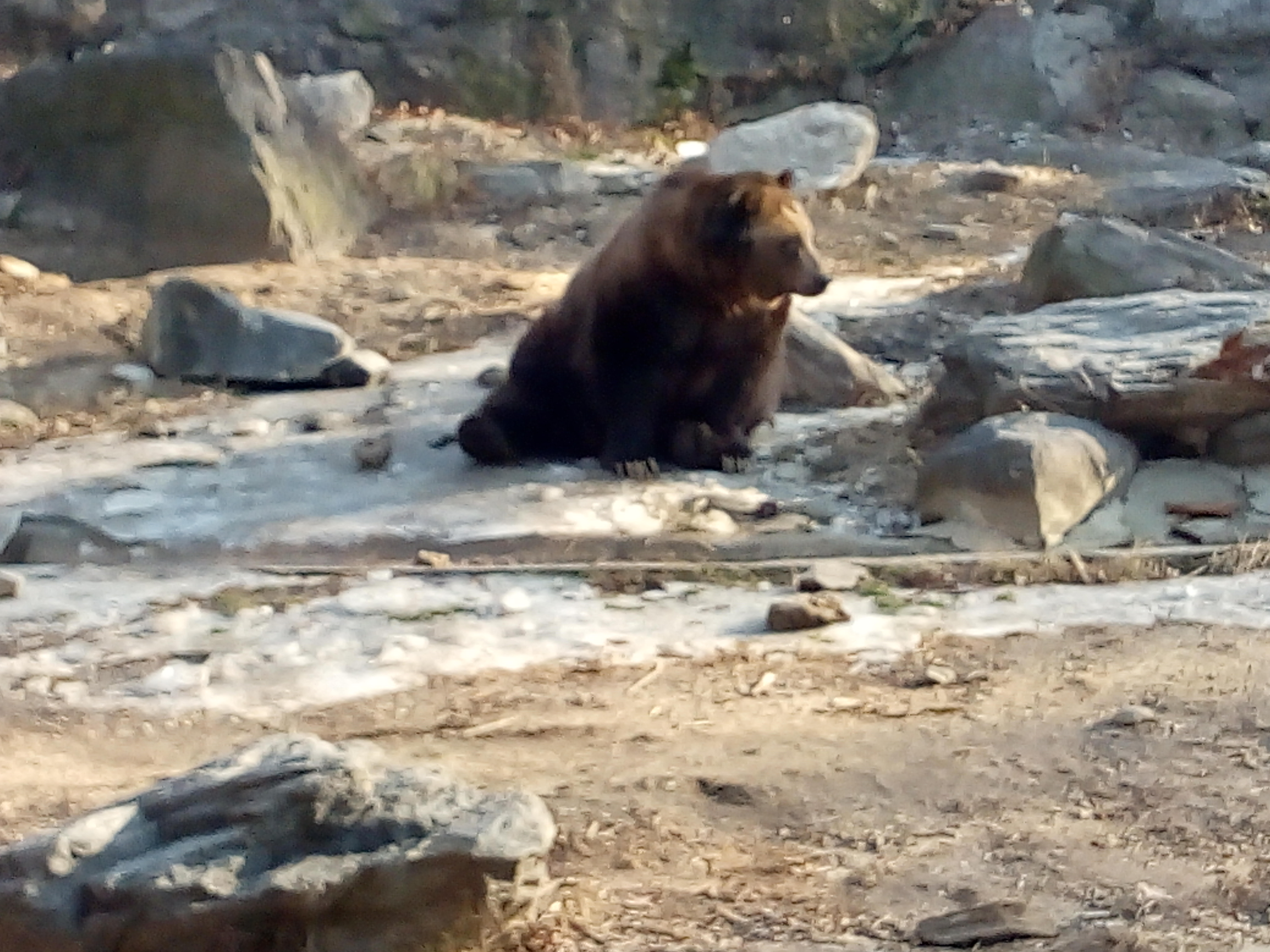 IMG_20191222_134005163