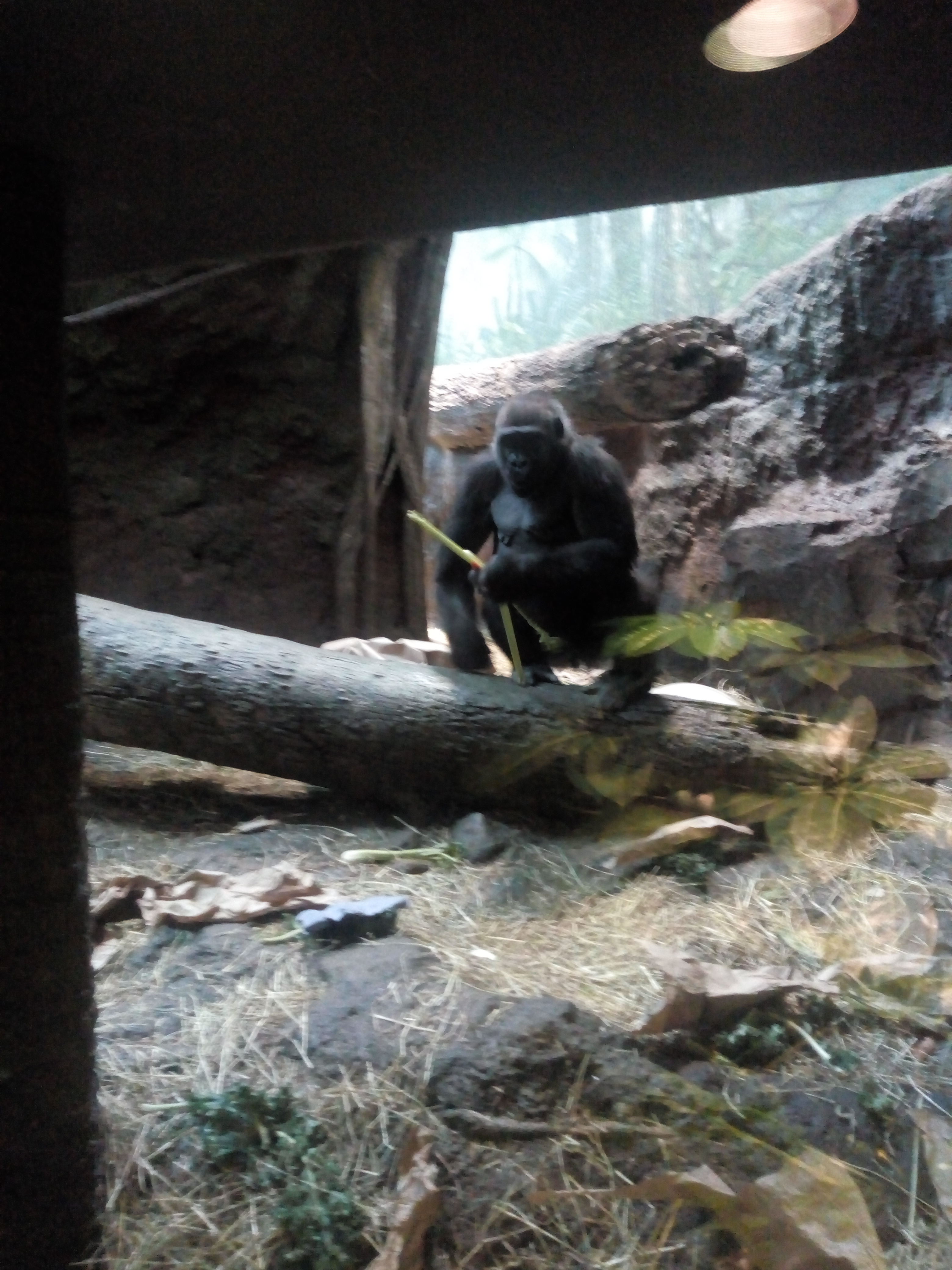 IMG_20191222_152237627