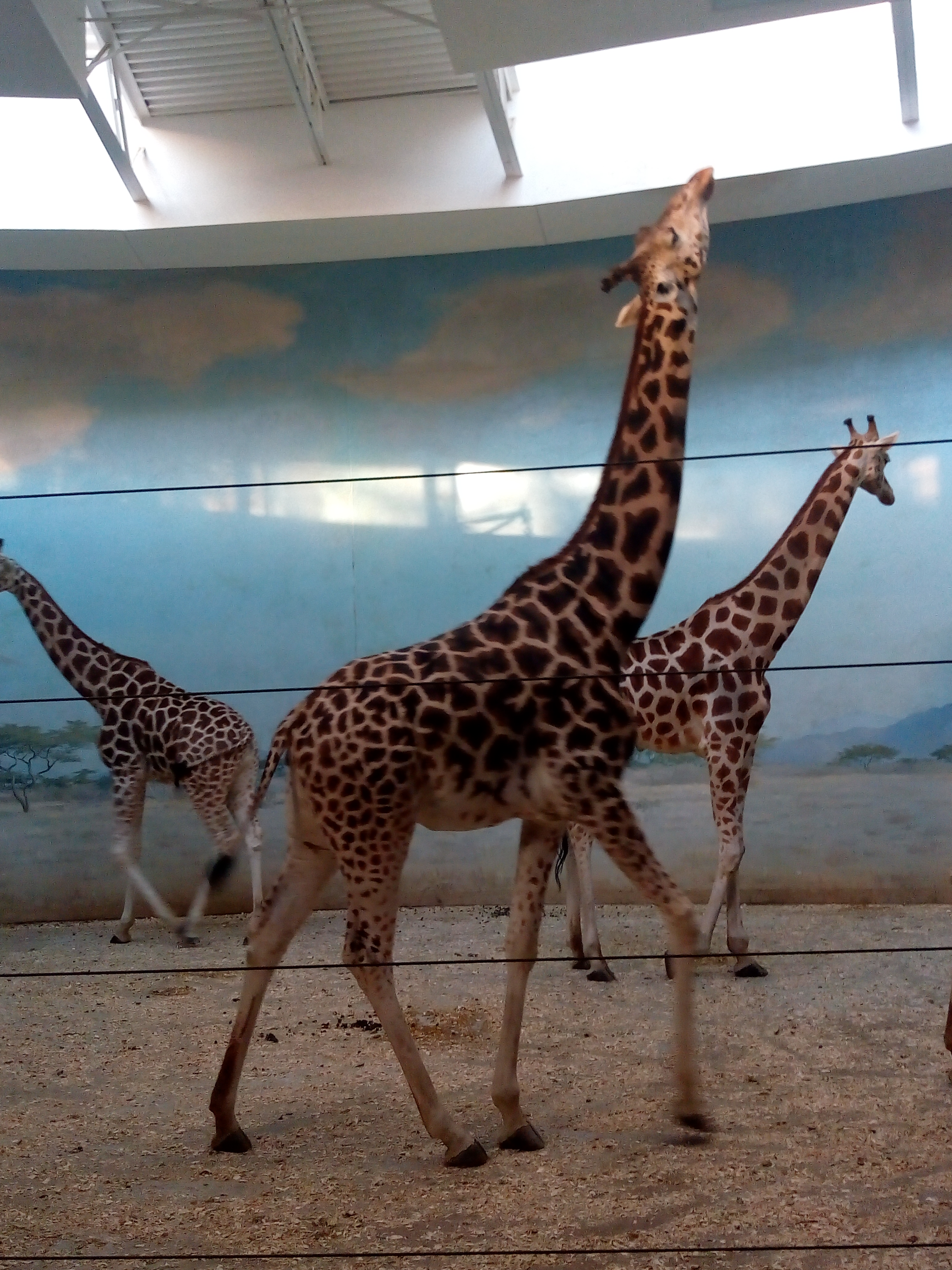 IMG_20191222_154157511