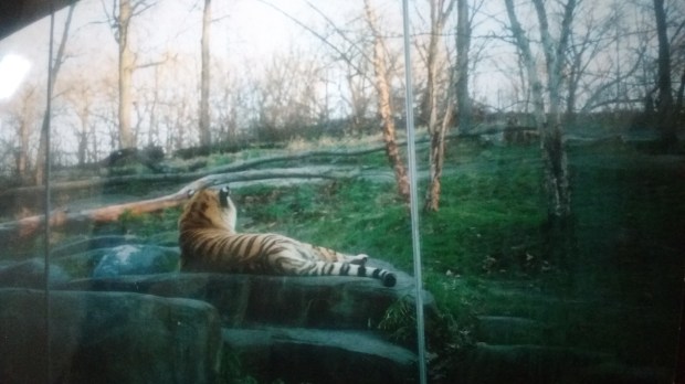 IMG_20181211_100309147