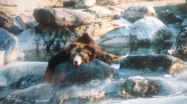 IMG_20181211_100409053